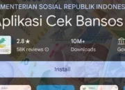 Cara Daftar DTKS Online 2025 Untuk Bansos Lewat Hp