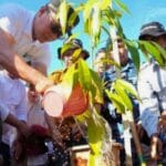 Gerakan Sulsel Menanam 6.6 Juta Pohon Ditanam di Sulsel pada Era Kepemimpinan Prof Zudan