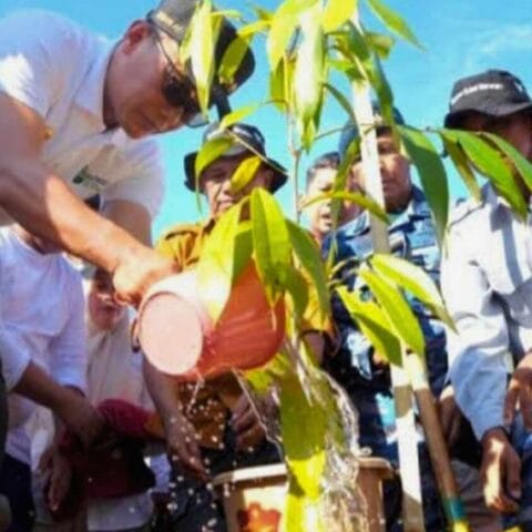 Gerakan Sulsel Menanam: 6.6 Juta Pohon Ditanam di Sulsel pada Era Kepemimpinan Prof Zudan