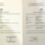 Heboh Dua Akun TikTok Pro Dannny Diduga Sebar Kebencian Wali Kota Makassa 20241230 093304 0000