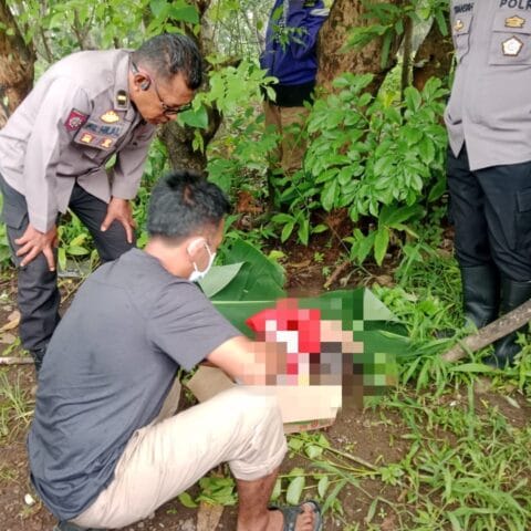 Polsek Bajeng Selidiki Penemuan Mayat Bayi Laki-laki dalam Kardus di Desa Pa’bentengang