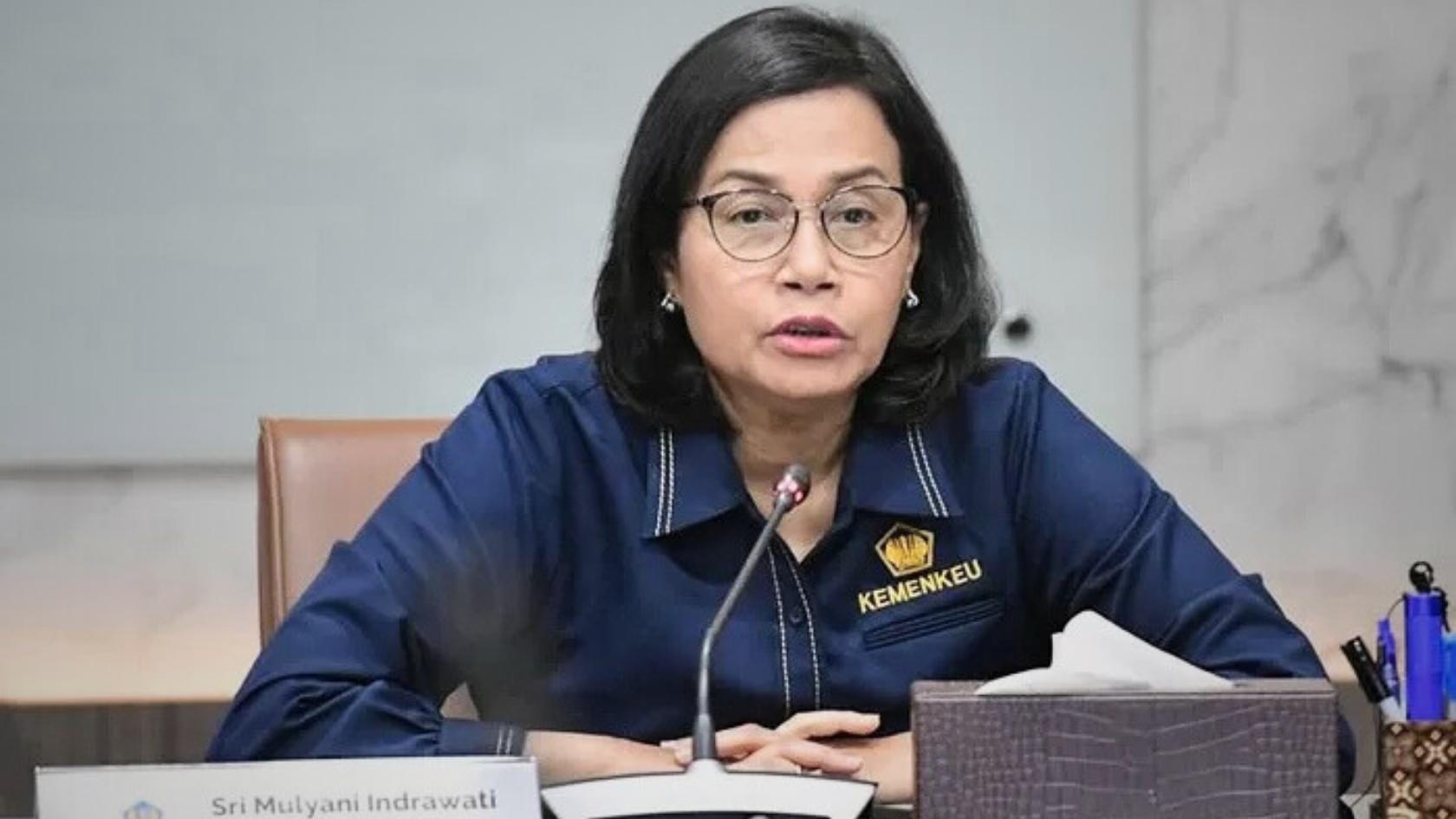 Kementerian Keuangan Sri Mulyani, Dampak kenaikan PPN 12 Persen 2025