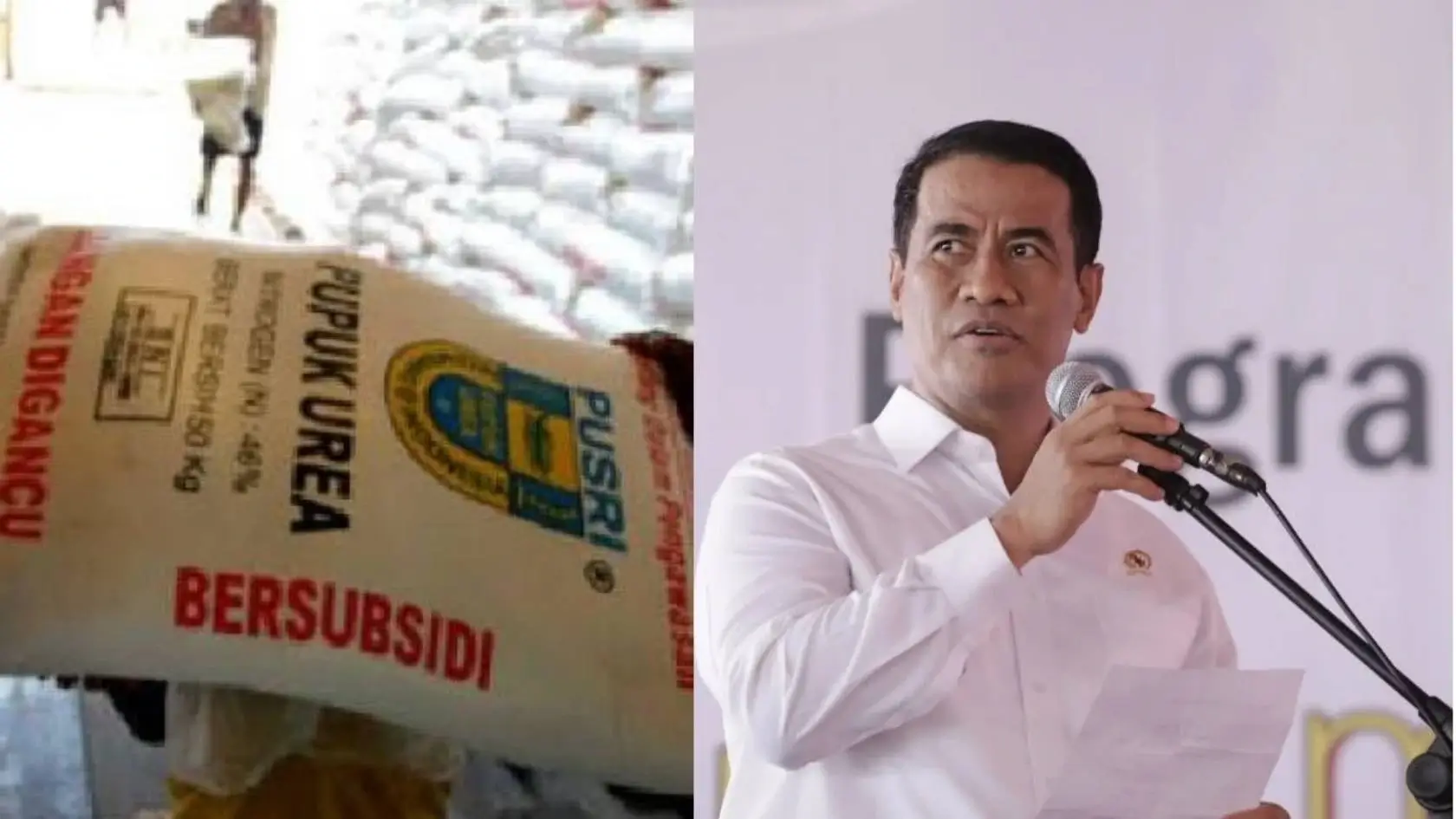 Pupuk Subsidi 2025 Rp 46 Triliun Sulsel Dapat Rp 4.1 Triliun