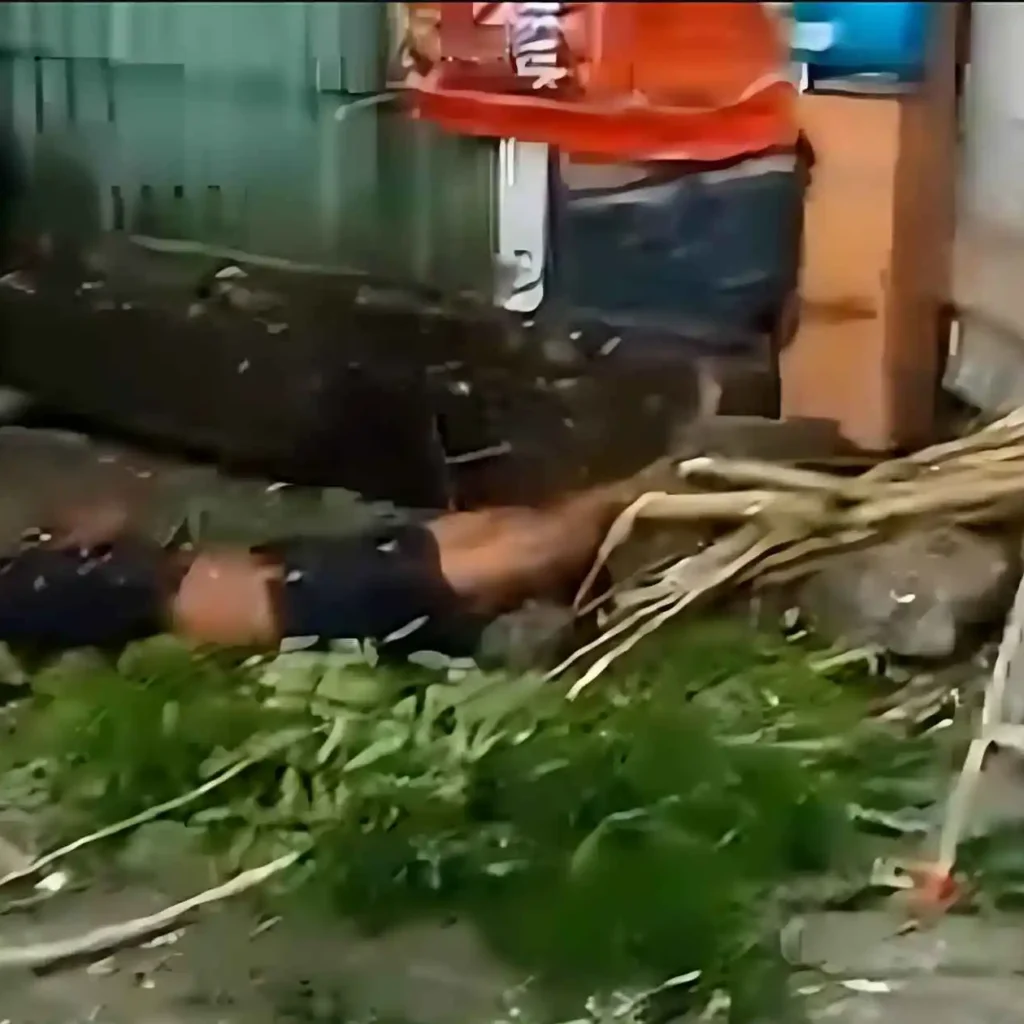 Viral Video Karyawan Toko di Makassar Tersengat Listrik Saat Pangkas Pohon