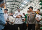 PJ Gubernur Sulsel dan Danny Pomanto mengunjungi gudang Bulog sulsel