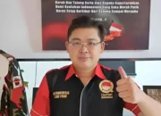 Perjalanan Karier dan Kontroversi Pengacara Alvin Lim