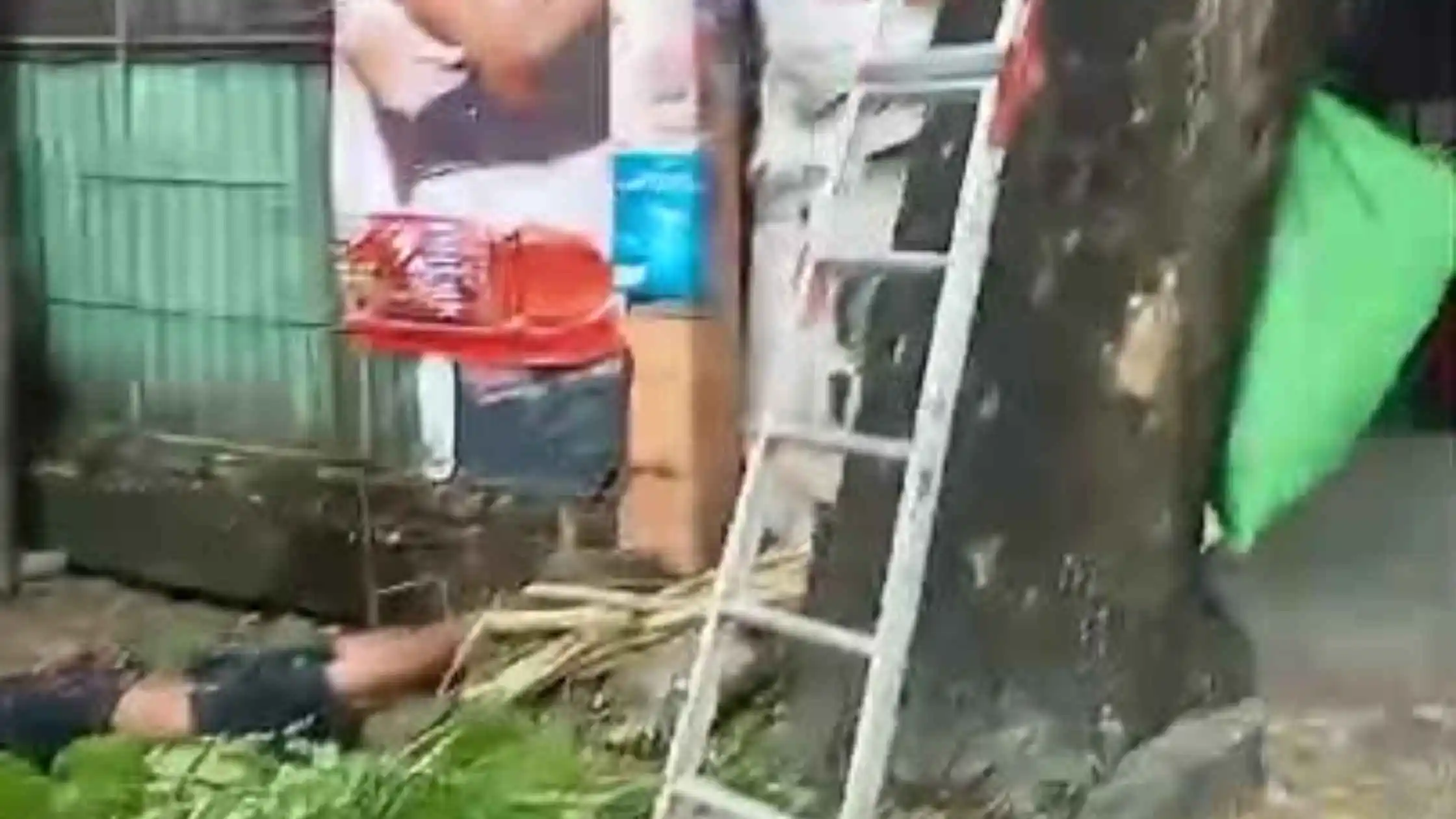 Viral Video Karyawan Toko di Makassar Tersengat Listrik Saat Pangkas Pohon