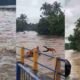 Tim SAR Terseret Arus Deras Saat Evakuasi Korban Banjir di Maros, Detik-Detik Mencekam Terekam Kamera