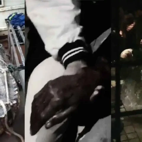 Viral Buaya Cimory Mengamuk Serang Lansia yang Mengaku Saudara Kembarannya