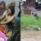 Pembunuhan Sadis di Palu Pemuda Tewas dengan 10 Tusukan di Perut