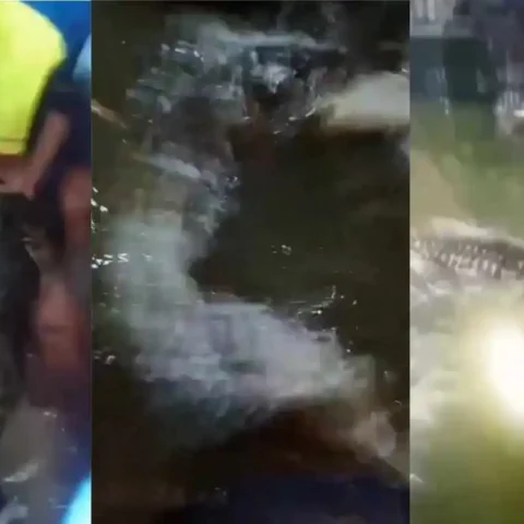 Warga Makassar Kaget Temukan Buaya 4 Meter Setelah Banjir