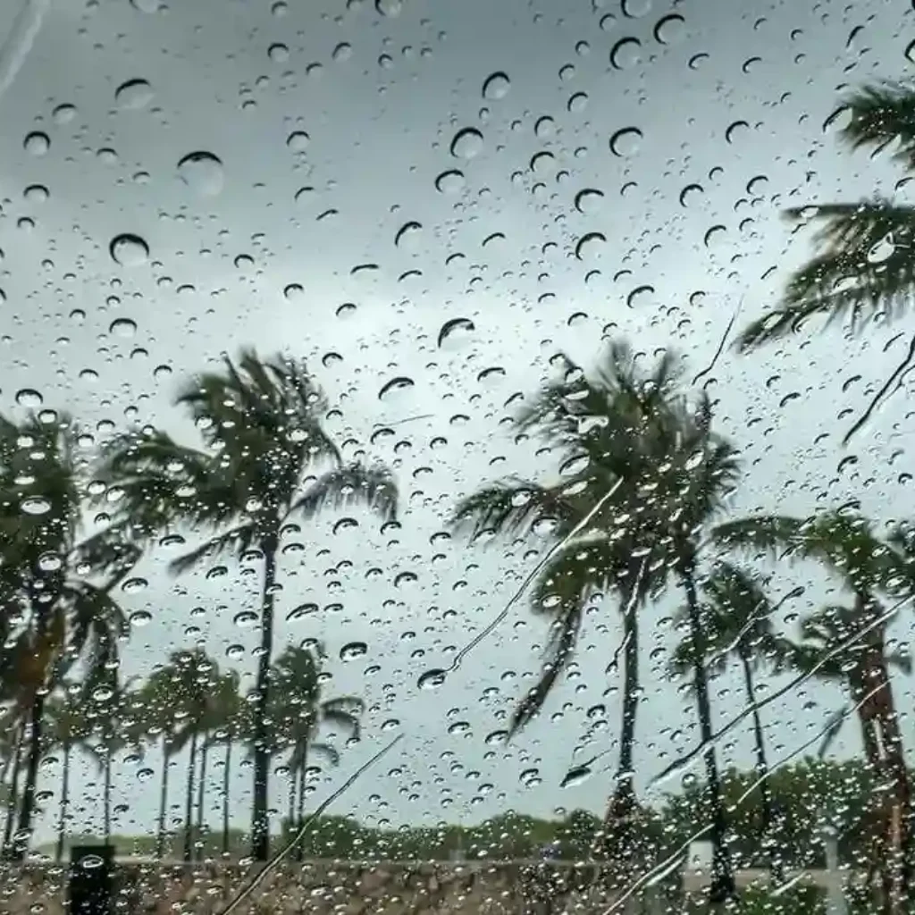 Peringatan Dini Cuaca di Sulawesi Selatan 9 hingga 11 Februari: Hujan Lebat dan Angin Kencang Berpotensi Picu Banjir dan Longsor