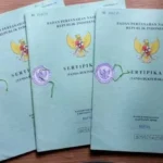 Panduan Lengkap Pecah Sertifikat Tanah: Syarat, Biaya, dan Prosedur Resmi Menurut BPN