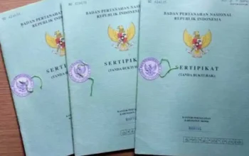 Panduan Lengkap Pecah Sertifikat Tanah: Syarat, Biaya, dan Prosedur Resmi Menurut BPN