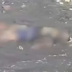 Polisi Selidiki Kematian Mahasiswa PNUP di Kos Makassar Ini Fakta yang Terungkap 4 Viral Mayat Pria Paruh Baya Ditemukan di Pantai Bantaeng