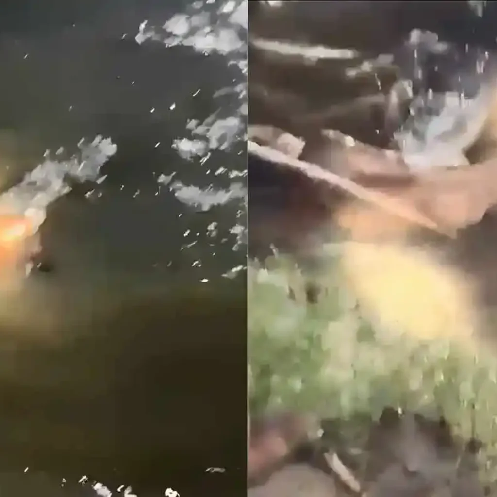 Viral Pria Tewas Diterkam Buaya Saat Mandi Bersama Anak di Sungai Bulete Wajo