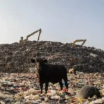 TPA Antang Overload, Foto TPA Antang Makassar.