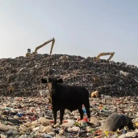 TPA Antang Overload, Foto TPA Antang Makassar.