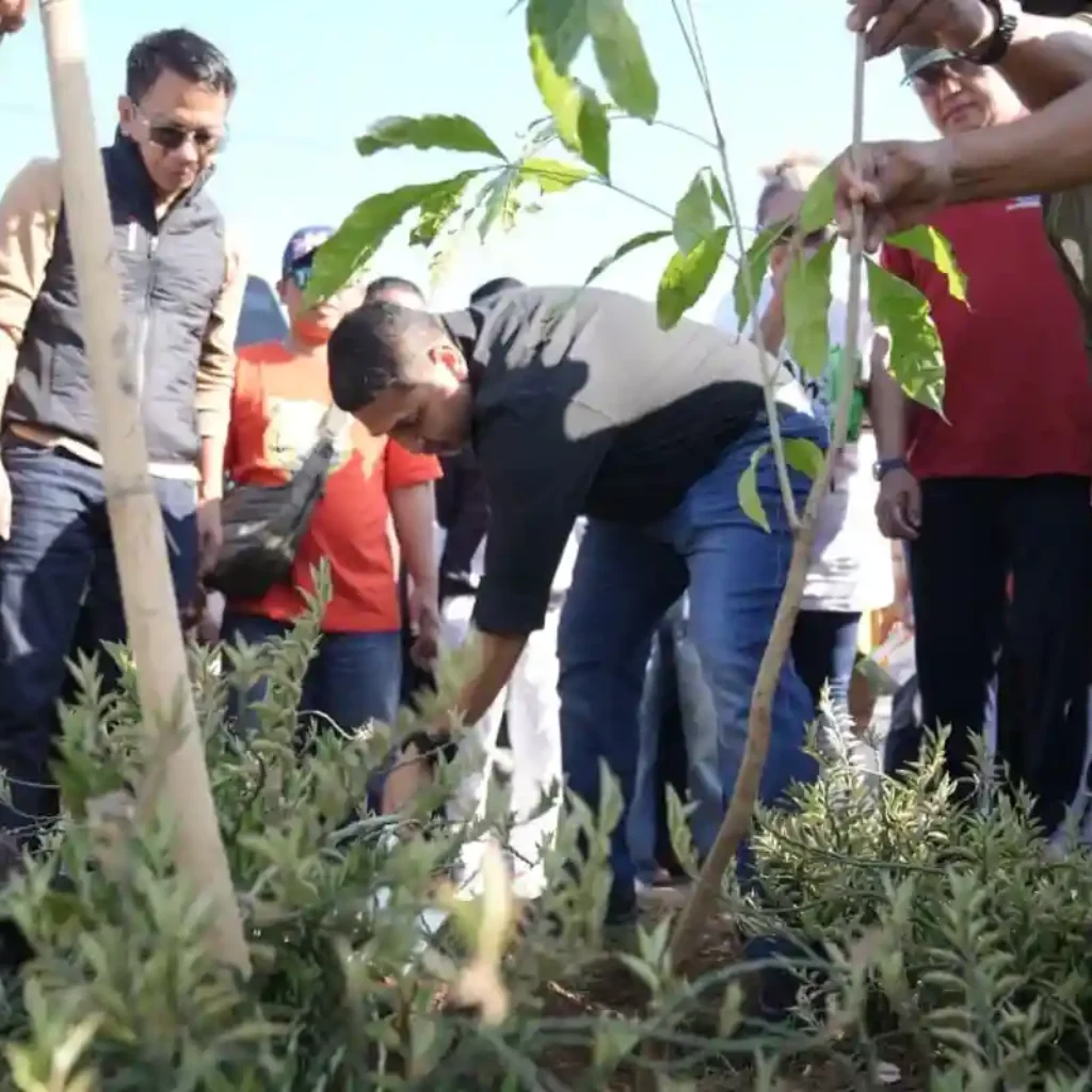 Wali Kota Makassar Ajak Warga Jaga Toleransi dan Tanam 1.000 Pohon Tabebuya