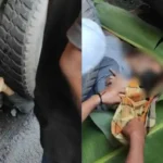 Viral Video Pengeroyokan Pelajar di Gowa Korban Kritis Dilarikan Ke RS 2 Pelajar SMA Tewas Terlindas Truk di Buttadidi, Diduga Warga Bukit Tamarunang