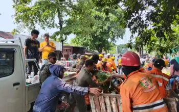 Satpol PP Makassar Tertibkan Pasar Tumpah Dr Leimena 5 Satpol PP Makassar dan petugas kebersihan menertibkan pasar tumpah di Jln Dr Leimena, Panakkukang, Sabtu 25 Oktober 2025