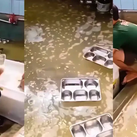 Viral Dapur MBG Cipatat Bandung Barat Cuci Nampan di Air Kotor, Operasional Distop 15 Tangkapan layar video nampan MBG dibilas di air menggenang di Cipatat