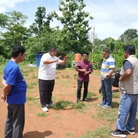 Pemkot Makassar Bidik Lahan TPU Baru 15 sampai 20 Hektare di Tompobulu Maros 14 Munafri Arifuddin meninjau lahan calon TPU baru di Tompobulu Maros 16/11/2025