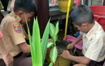 Gerakan Satu Juta Pohon, SDI Layang Bertingkat Makassar Tanam Bibit di Lingkungan Sekolah 6 Gerakan Satu Juta Pohon SDI Layang Bertingkat Makassar Tanam Bibit