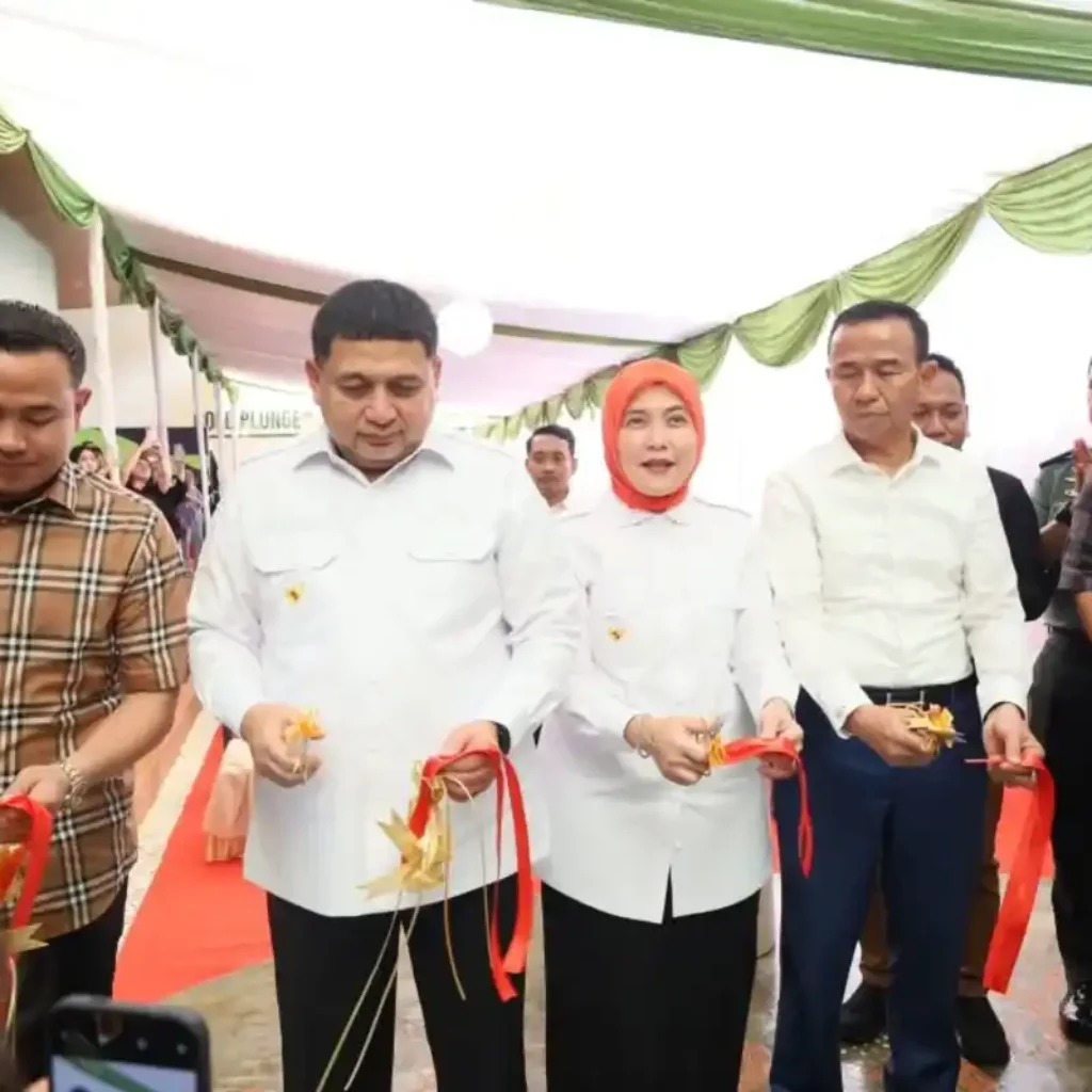 Rebound Padel Karunrung Dibuka, Appi Sorot Pajak Ketangkasan dan Lapangan Kerja