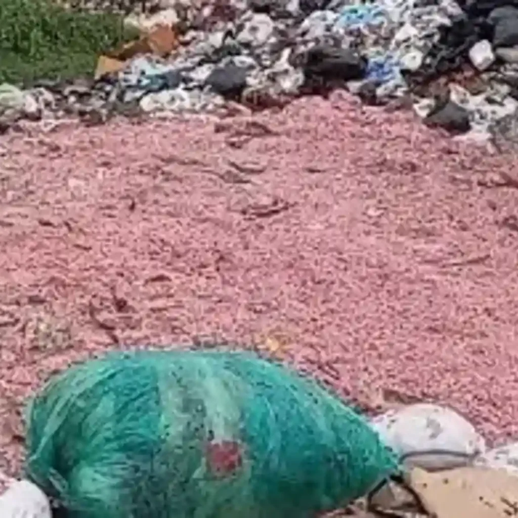 Video Viral Cacahan Diduga Uang Rupiah di TPS Liar Setu Bekasi, DLH Klaim Uang Asli