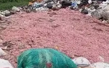 Video Viral Cacahan Diduga Uang Rupiah di TPS Liar Setu Bekasi, DLH Klaim Uang Asli