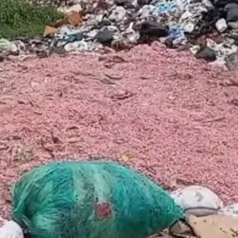 Video Viral Cacahan Diduga Uang Rupiah di TPS Liar Setu Bekasi, DLH Klaim Uang Asli