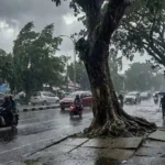 Warga Makassar Diminta Waspada Cuaca Ekstrem dan Pohon Tumbang