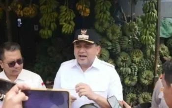 Urban Farming Makassar Didorong Munafri untuk Topang MBG dan Pangan Warga 5 Urban farming Makassar Munafri Arifuddin di Makassar 11 April 2026