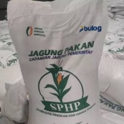 Bupati Sidrap Minta Tambahan Kuota Jagung SPHP ke Bulog untuk Jaga Stabilitas Harga Pakan