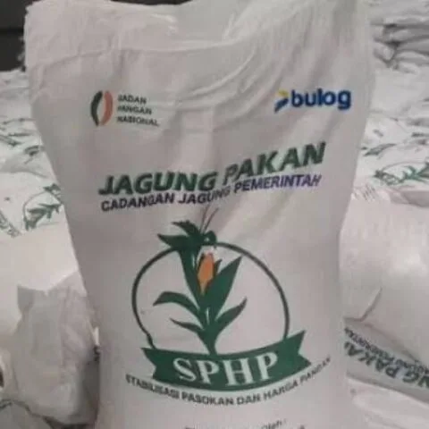 Bupati Sidrap Minta Tambahan Kuota Jagung SPHP ke Bulog untuk Jaga Stabilitas Harga Pakan