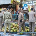 19 Pedagang di Benteng Rotterdam Bongkar Lapak Mandiri, Pemkot Makassar Siapkan 30 Truk