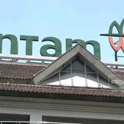 Antam Siap Terlibat di Proyek Hilirisasi Nikel dan Mobil Listrik