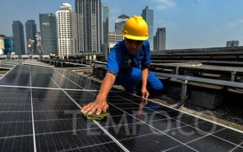 Belanja Iklim Pemerintah per Tahun Mencapai Rp 73 Triliun