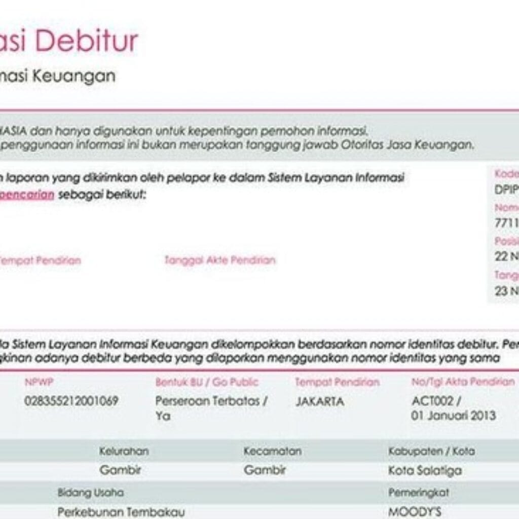 Bukan BI Checking Lagi, Begini Cara Cek Utang Sendiri di iDebku OJK
