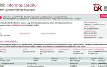 Bukan BI Checking Lagi, Begini Cara Cek Utang Sendiri di iDebku OJK