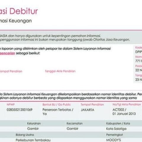 Bukan BI Checking Lagi, Begini Cara Cek Utang Sendiri di iDebku OJK