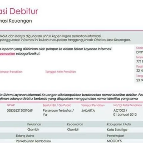 Bukan BI Checking Lagi, Begini Cara Cek Utang Sendiri di iDebku OJK 15 Bukan BI Checking Lagi, Begini Cara Cek Utang Sendiri di iDebku OJK