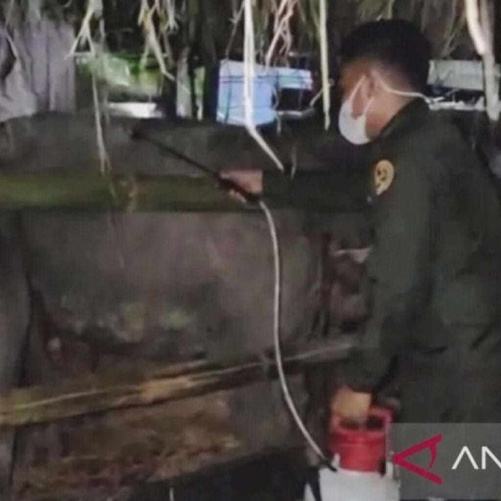 Cegah penyakit menular, Maluku awasi pengiriman 89 kerbau ke Sulsel