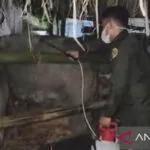 KPPU Ungkap Potensi Monopoli di Maluku yang Bisa Dorong Kenaikan Harga 2 Cegah penyakit menular, Maluku awasi pengiriman 89 kerbau ke Sulsel