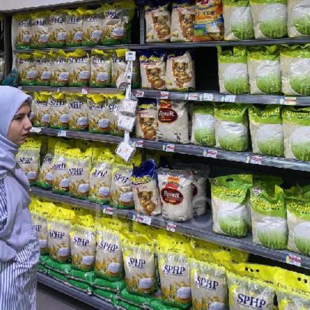 Pemerintah Dorong Bulog Pasok Beras Premium di Retail Modern