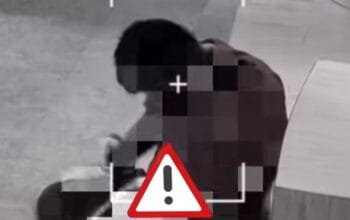 Polisi Periksa Pria yang Diduga Lecehkan Anjing di Kafe Jakarta Utara