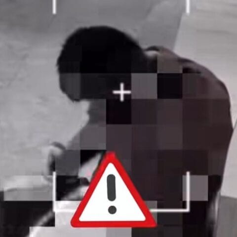 Polisi Periksa Pria yang Diduga Lecehkan Anjing di Kafe Jakarta Utara