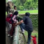 Viral Anak Jatuh di Kandang Gajah, Ragunan Perketat Pengawasan Pengunjung