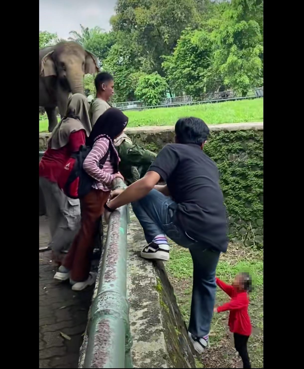 Viral Anak Jatuh di Kandang Gajah, Ragunan Perketat Pengawasan Pengunjung 1 Viral Anak Jatuh di Kandang Gajah, Ragunan Perketat Pengawasan Pengunjung